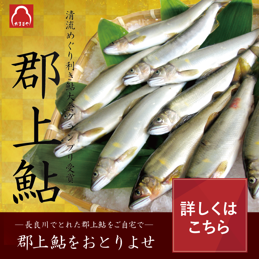 郡上鮎